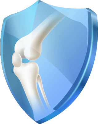 Articulación de la rodilla